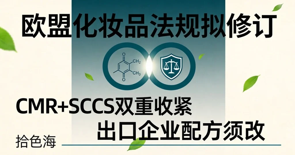 欧盟市场准入路径规划：从合规诊断到上市的时间线