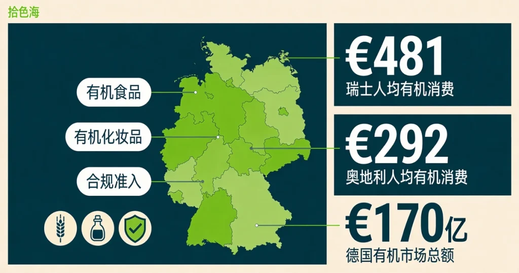 DACH德语区有机市场进入实操：出口企业渠道选择与落地策略