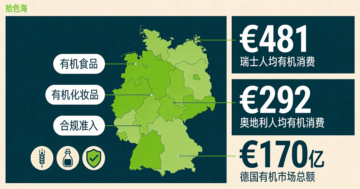 DACH德语区有机市场进入实操:出口企业渠道选择与落地策略